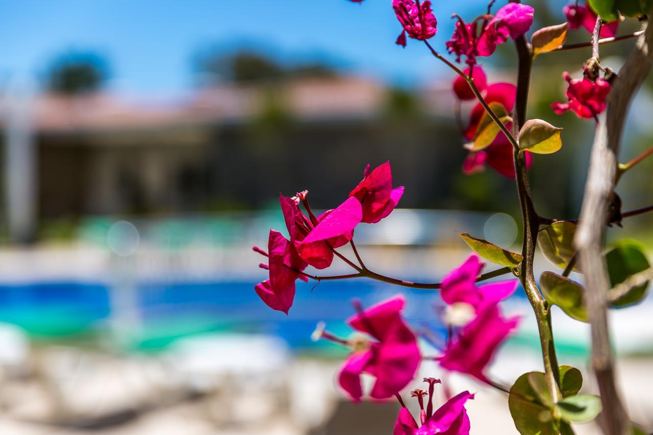 Kalina Hotel Datça Buitenkant foto