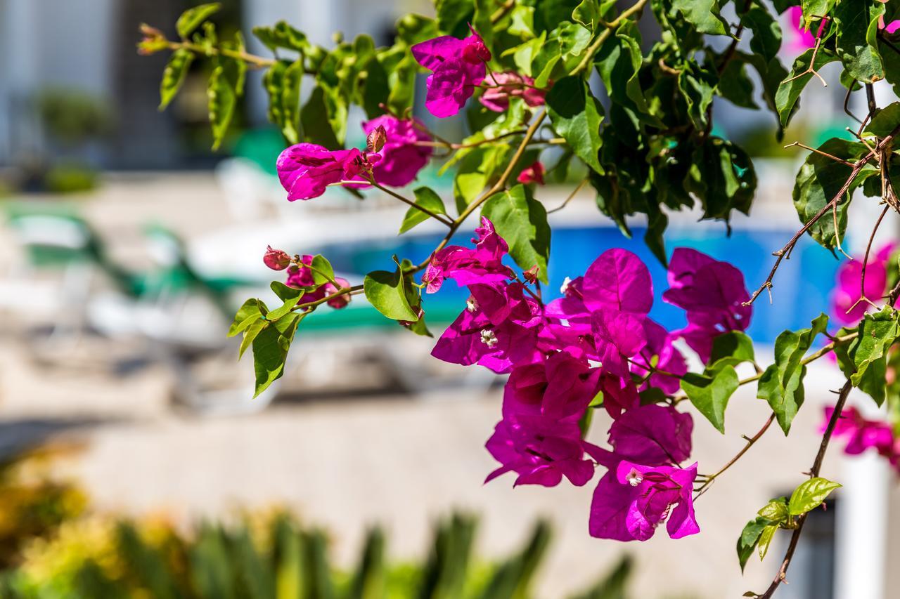 Kalina Hotel Datça Buitenkant foto